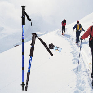 Hiking Stick / People Hiking in Snow